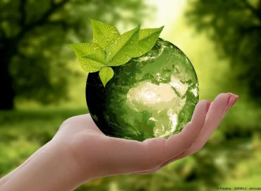 13 Vorteile der Nachhaltigkeitsberatung für Unternehmen